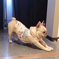 77�F�F�D(zhu��n)